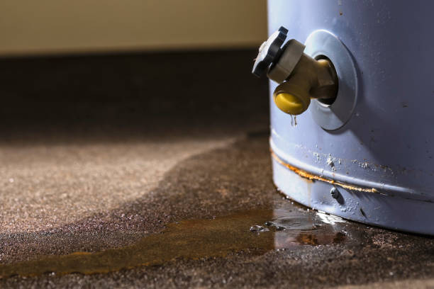 Best Water damage mitigation services  in New Lisbon, WI