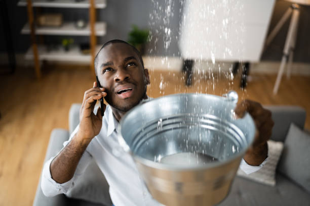 Best 24/7 water damage repair  in New Lisbon, WI