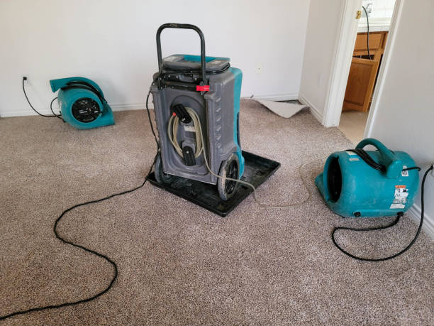 Best Local water damage restoration  in New Lisbon, WI