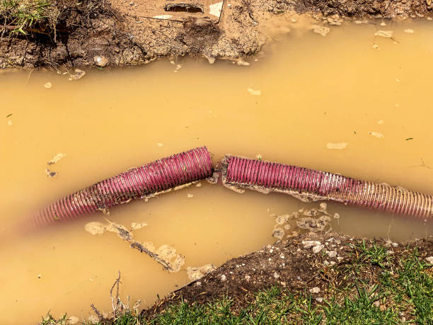 Best Sewage cleanup and water damage restoration  in New Lisbon, WI